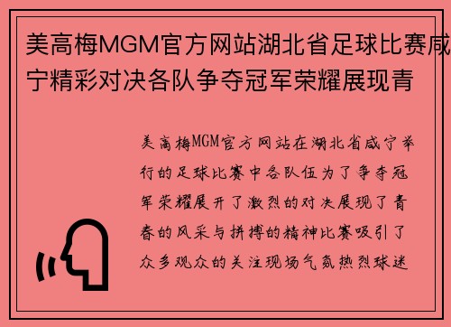 美高梅MGM官方网站湖北省足球比赛咸宁精彩对决各队争夺冠军荣耀展现青春风采