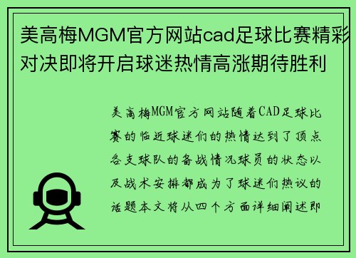 美高梅MGM官方网站cad足球比赛精彩对决即将开启球迷热情高涨期待胜利时刻